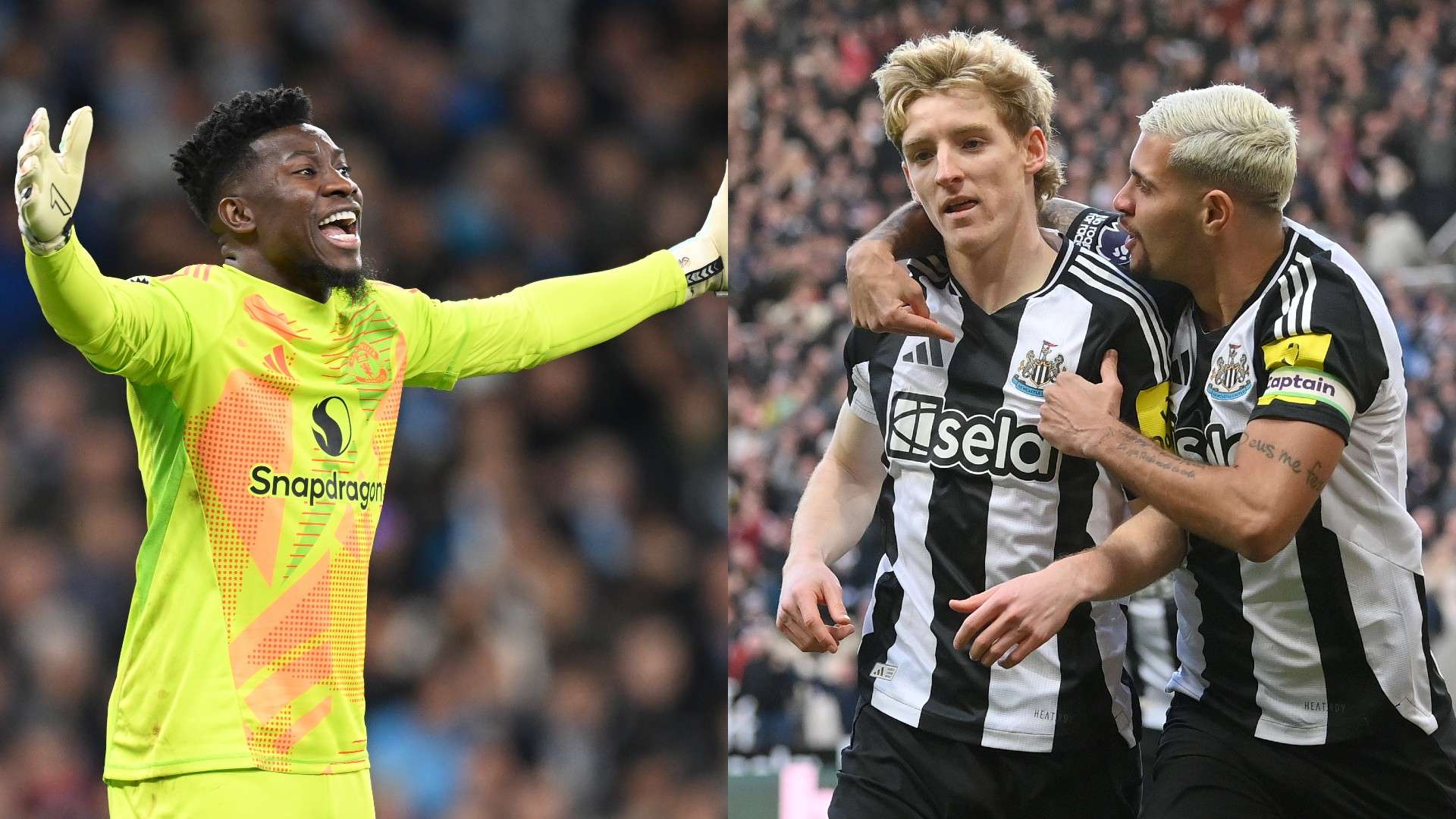 速度和费南 速度和费南